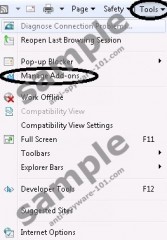 1_SnapDoInternetExplorer